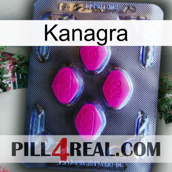 Kanagra 02.jpg